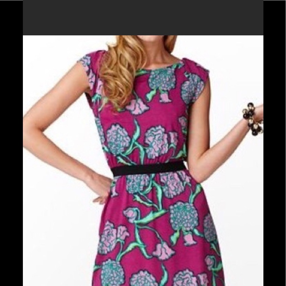 Lilly Pulitzer Laney Dress In XS